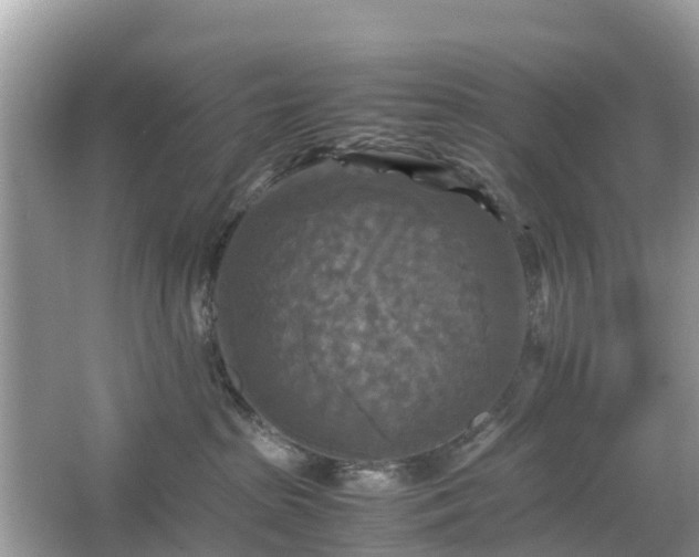 X0000066000285200603101538