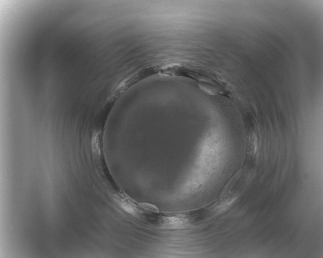 X0000066000286200603101539