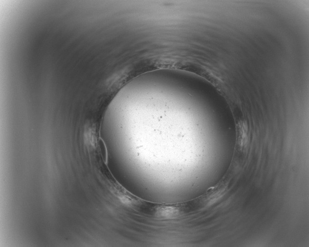 X0000066000287200603101539