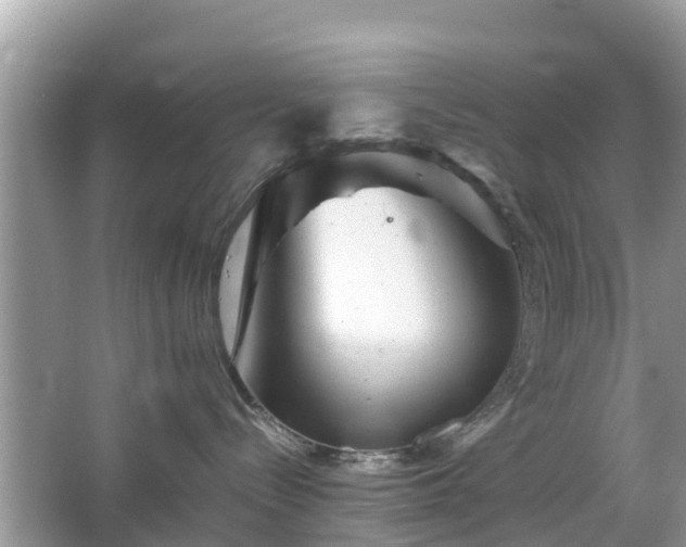 X0000066000288200603101539