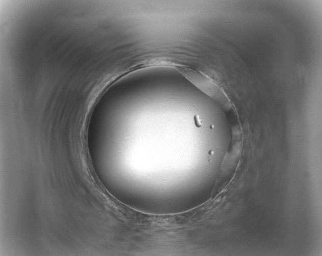 X0000066000289200603101538