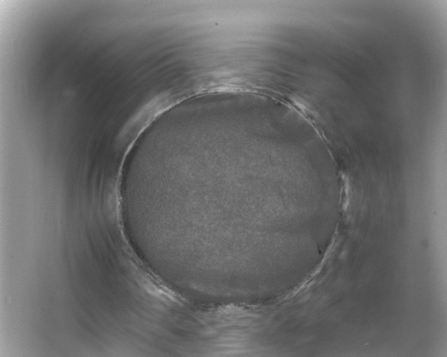 X0000066000290200603101538