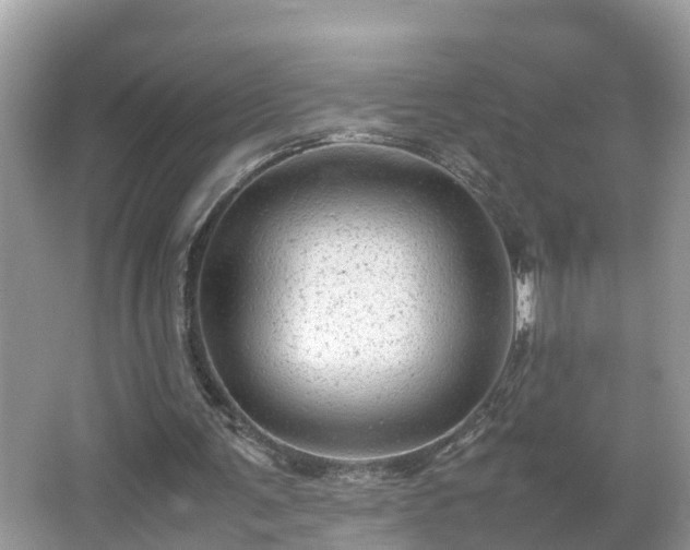 X0000066000291200603101538