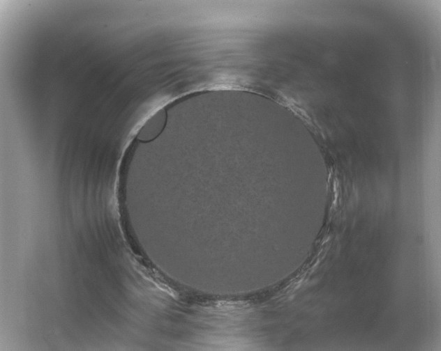 X0000066000292200603101538