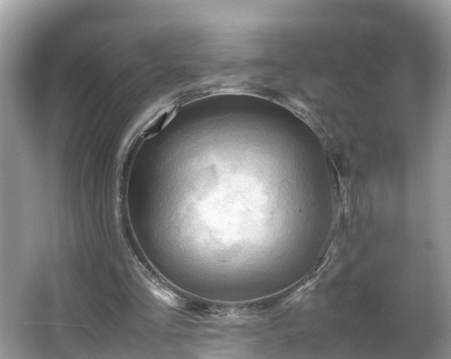 X0000066000293200603101538