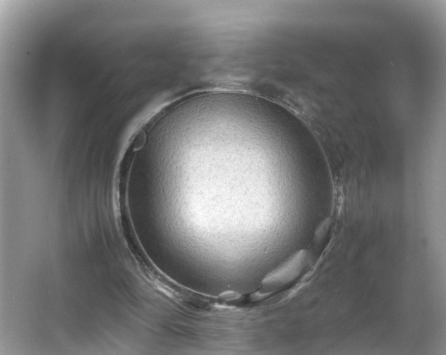 X0000066000294200603101538