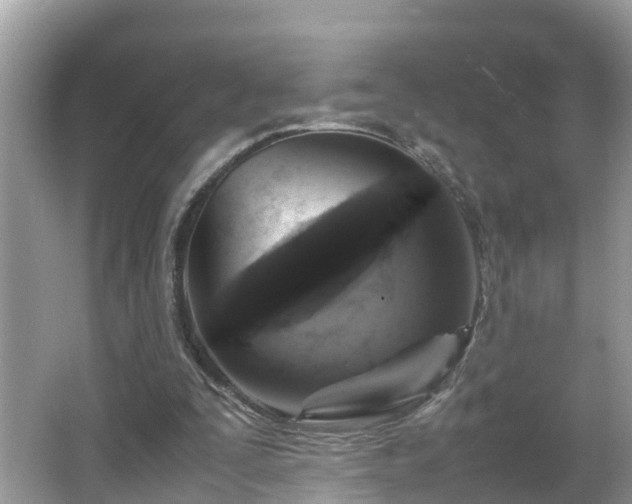 X0000066000295200603101538