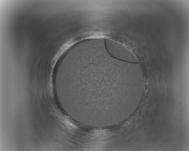 X0000066000296200603101538