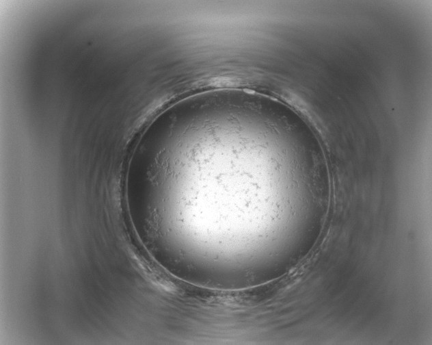 X0000066000297200603101538