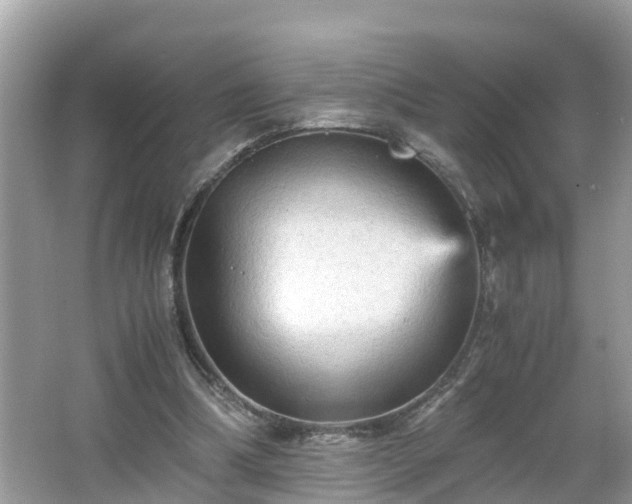 X0000066000298200603101538