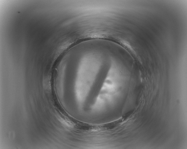 X0000066000299200603101538