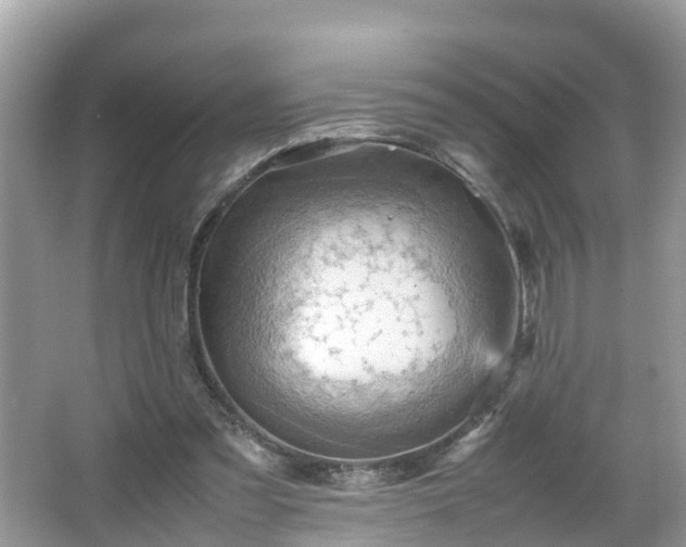 X0000066000301200603101538