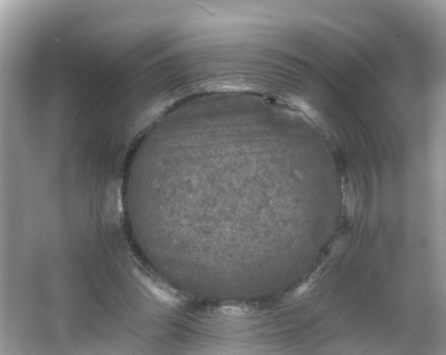 X0000066000302200603101538