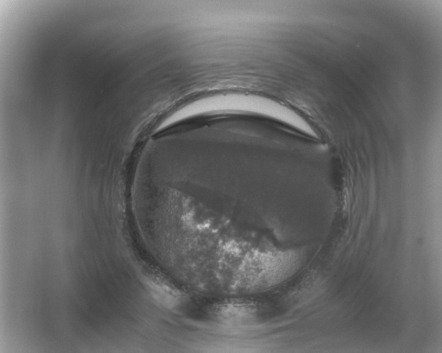 X0000066000303200603101538