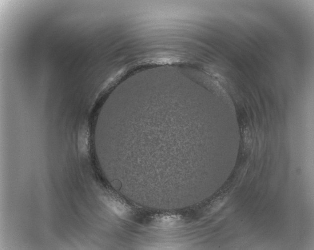 X0000066000304200603101537