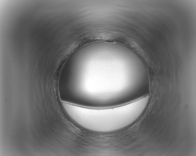 X0000066000305200603101537