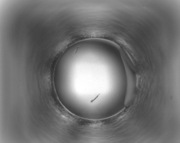 X0000066000306200603101537