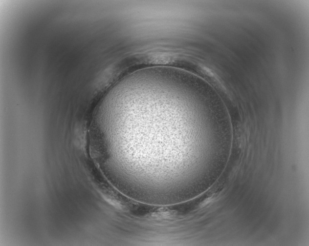 X0000066000307200603101537