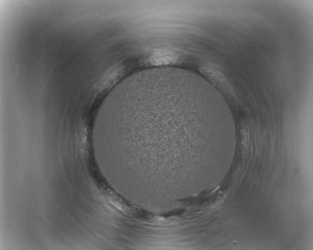 X0000066000308200603101537