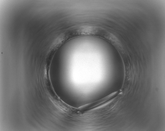 X0000066000310200603101537