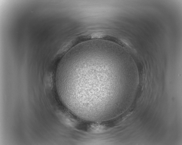 X0000066000311200603101537