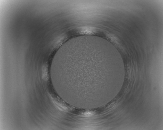 X0000066000312200603101537