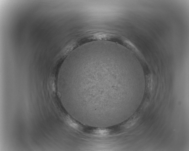 X0000066000313200603101537