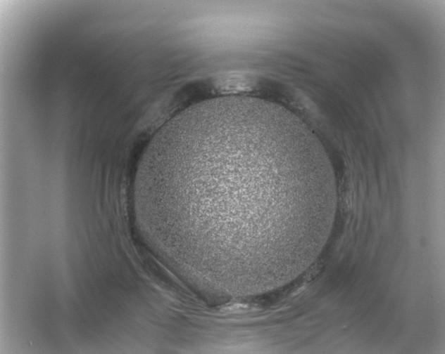 X0000066000315200603101537