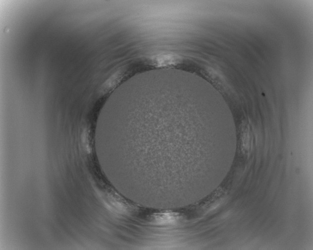 X0000066000316200603101537