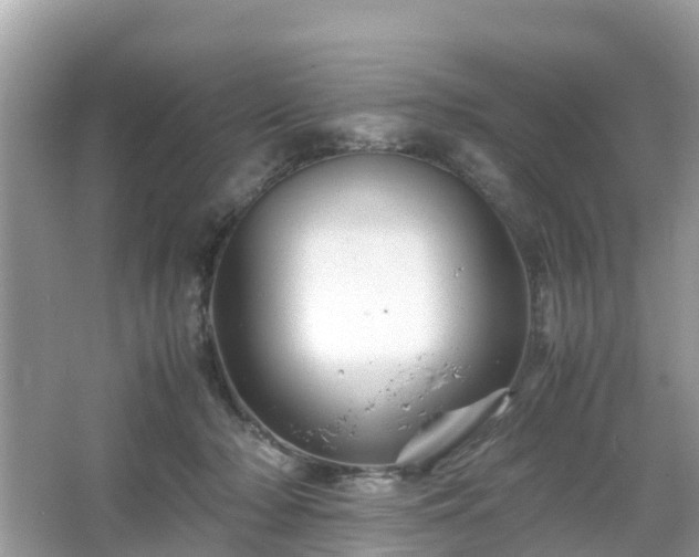 X0000066000318200603101537