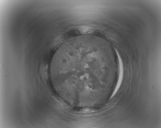 X0000066000319200603101537