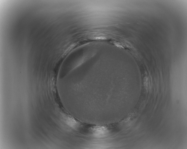 X0000066000322200603101537