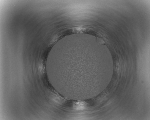 X0000066000324200603101537