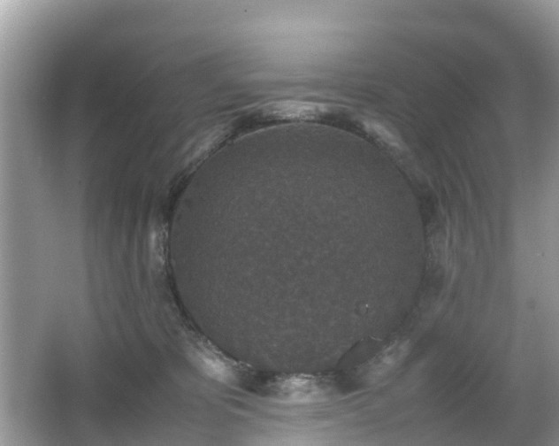 X0000066000325200603101537