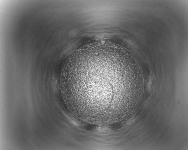 X0000066000327200603101537