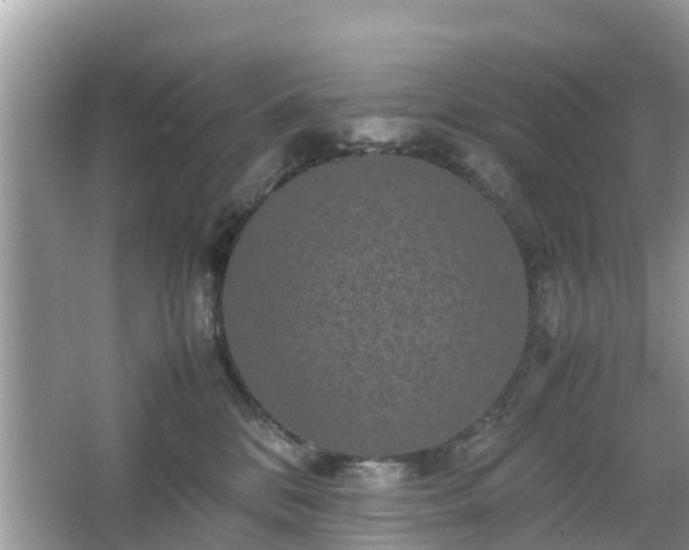 X0000066000328200603101537