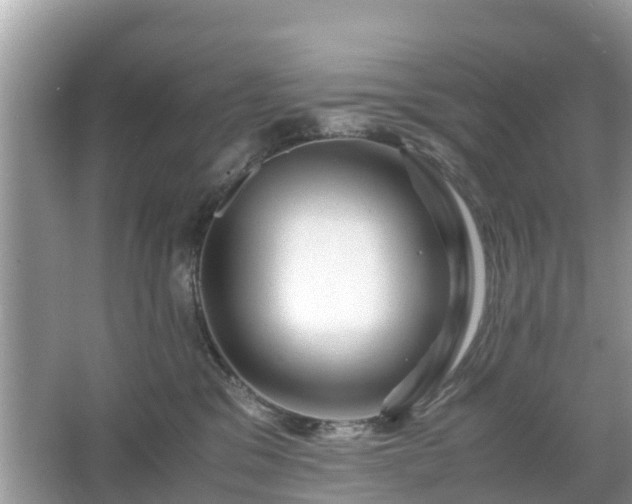 X0000066000329200603101537