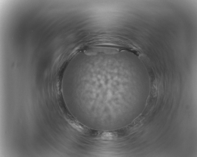 X0000066000330200603101537