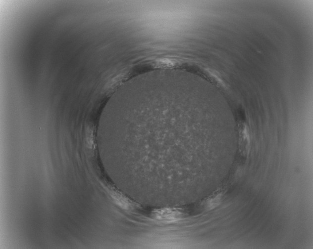 X0000066000331200603101537