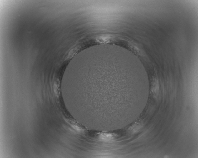 X0000066000332200603101537