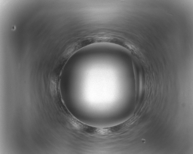 X0000066000333200603101537