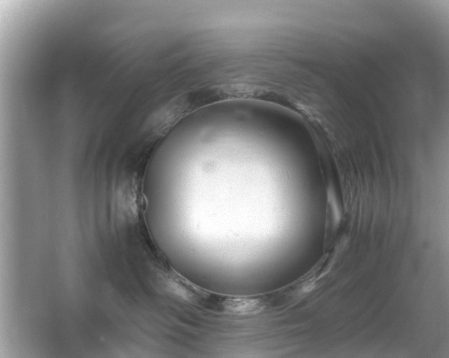 X0000066000334200603101537