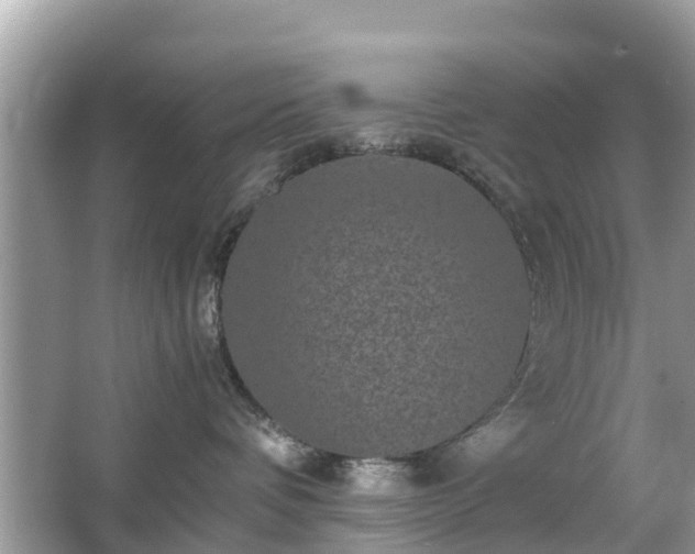 X0000066000336200603101537