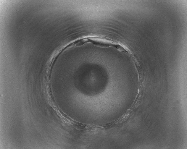 X0000066000337200603101536