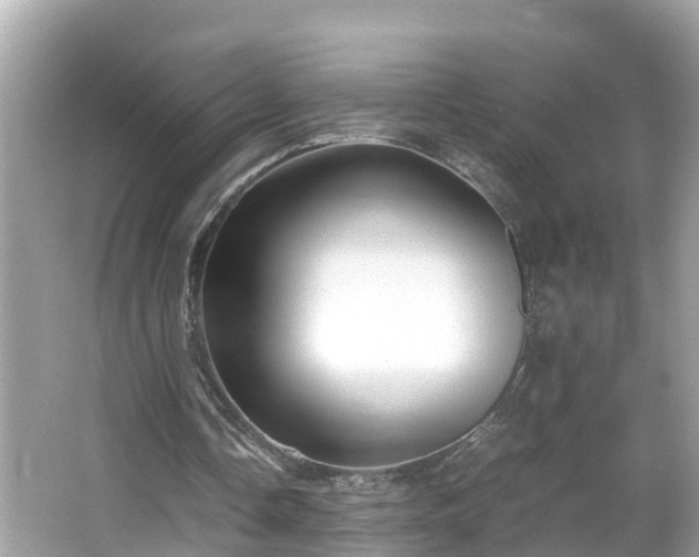 X0000066000338200603101536