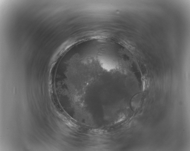 X0000066000339200603101536