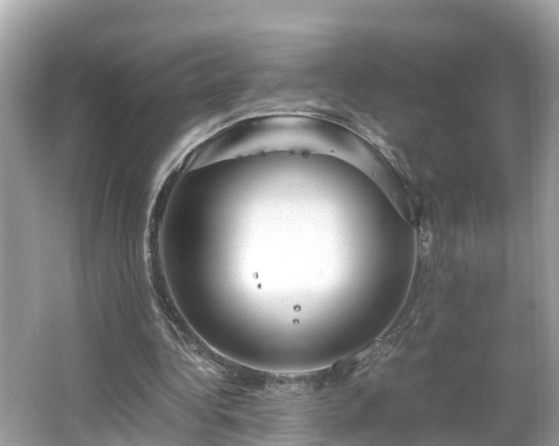 X0000066000340200603101536