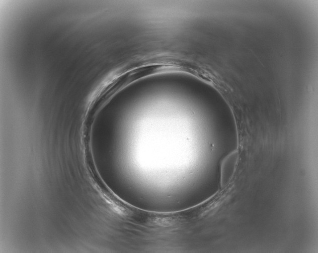 X0000066000341200603101536