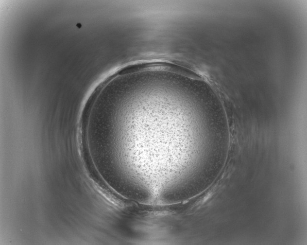 X0000066000342200603101536