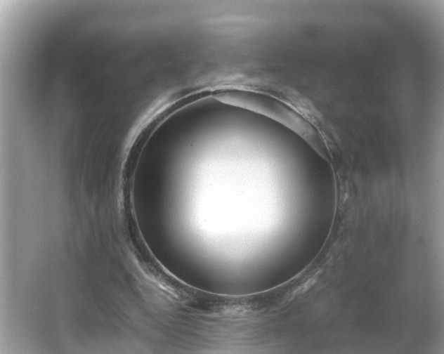 X0000066000344200603101536